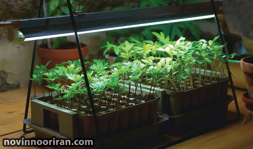 Buy cheap plant growth lamps